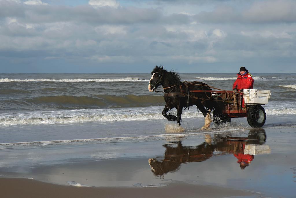 Hoogland Aan Zee Hotell Egmond aan Zee Exteriör bild